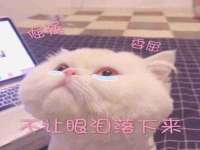 吕梁市博达文化传媒有限公司