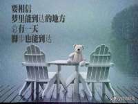 吕梁市博达文化传媒有限公司