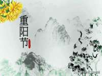吕梁市博达文化传媒有限公司
