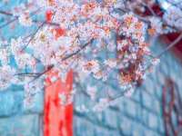 吕梁市博达文化传媒有限公司