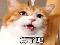 吕梁市博达文化传媒有限公司