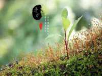 吕梁市博达文化传媒有限公司