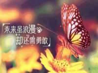 吕梁市博达文化传媒有限公司
