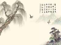 吕梁市博达文化传媒有限公司