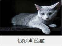 吕梁市博达文化传媒有限公司
