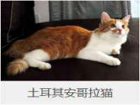 吕梁市博达文化传媒有限公司