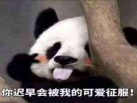 吕梁市博达文化传媒有限公司
