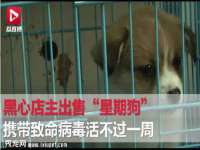 吕梁市博达文化传媒有限公司