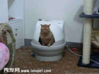 吕梁市博达文化传媒有限公司