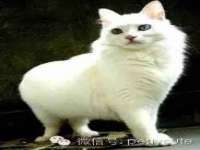 吕梁市博达文化传媒有限公司