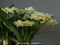 吕梁市博达文化传媒有限公司