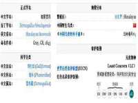 吕梁市博达文化传媒有限公司