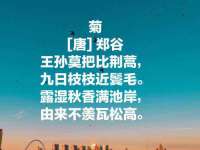 吕梁市博达文化传媒有限公司
