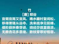 吕梁市博达文化传媒有限公司