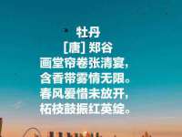 吕梁市博达文化传媒有限公司