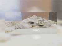 吕梁市博达文化传媒有限公司