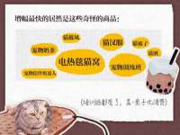 吕梁市博达文化传媒有限公司