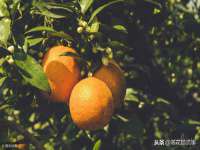 吕梁市博达文化传媒有限公司