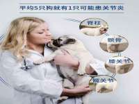 吕梁市博达文化传媒有限公司