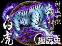 吕梁市博达文化传媒有限公司