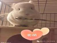 吕梁市博达文化传媒有限公司