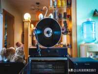 吕梁市博达文化传媒有限公司