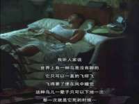 吕梁市博达文化传媒有限公司