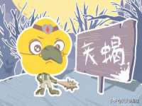 吕梁市博达文化传媒有限公司