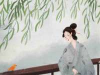 吕梁市博达文化传媒有限公司