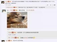 吕梁市博达文化传媒有限公司