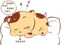 吕梁市博达文化传媒有限公司