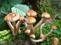 吕梁市博达文化传媒有限公司