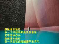 吕梁市博达文化传媒有限公司