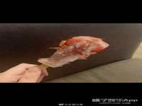吕梁市博达文化传媒有限公司